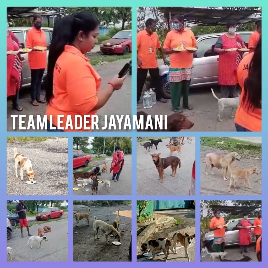 World record for 12 social workers feeding and  raising awareness for helpless animals at 12 locations